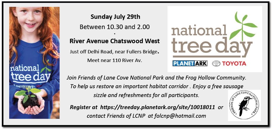 National Tree National Tree