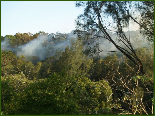 view_from_verandah